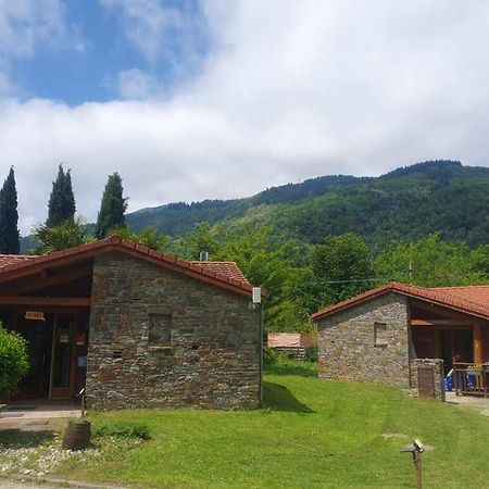 Chalets A 10 Minutes De Foix Mercus-Garrabet Eksteriør bilde